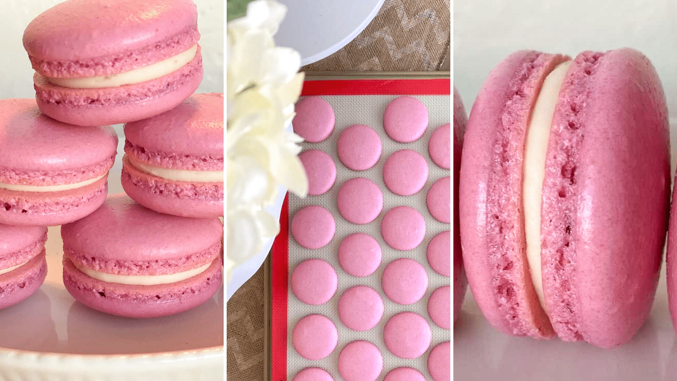 Professional Macaron Recipe, With French chef
